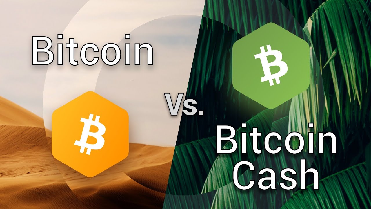 What Is Bitcoin Cash? There’s More Than One Bitcoin | Gemini