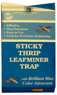 Horse Chestnut Leaf Miner Trap - Twinpack