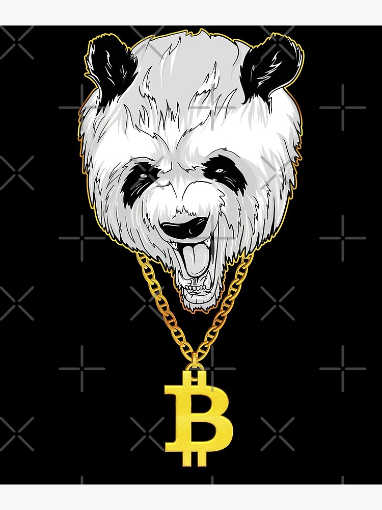 Buy Panda Crypto 8 ply at Mooroolbark Wool / bitcoinhelp.fun
