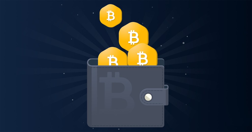 Secure and Anonymous Bitcoin Wallet: Protect Your Privacy and Assets - RedBelly Blockchain