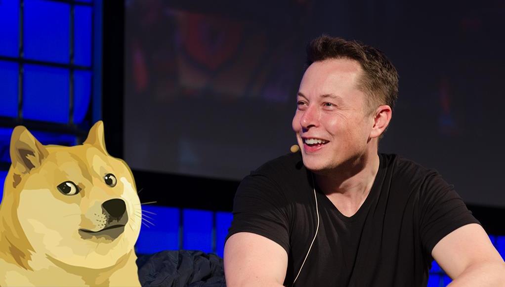 Elon Musk Wins Dogecoin CEO Poll, Calls the Meme-Inspired Coin a Fave | Observer