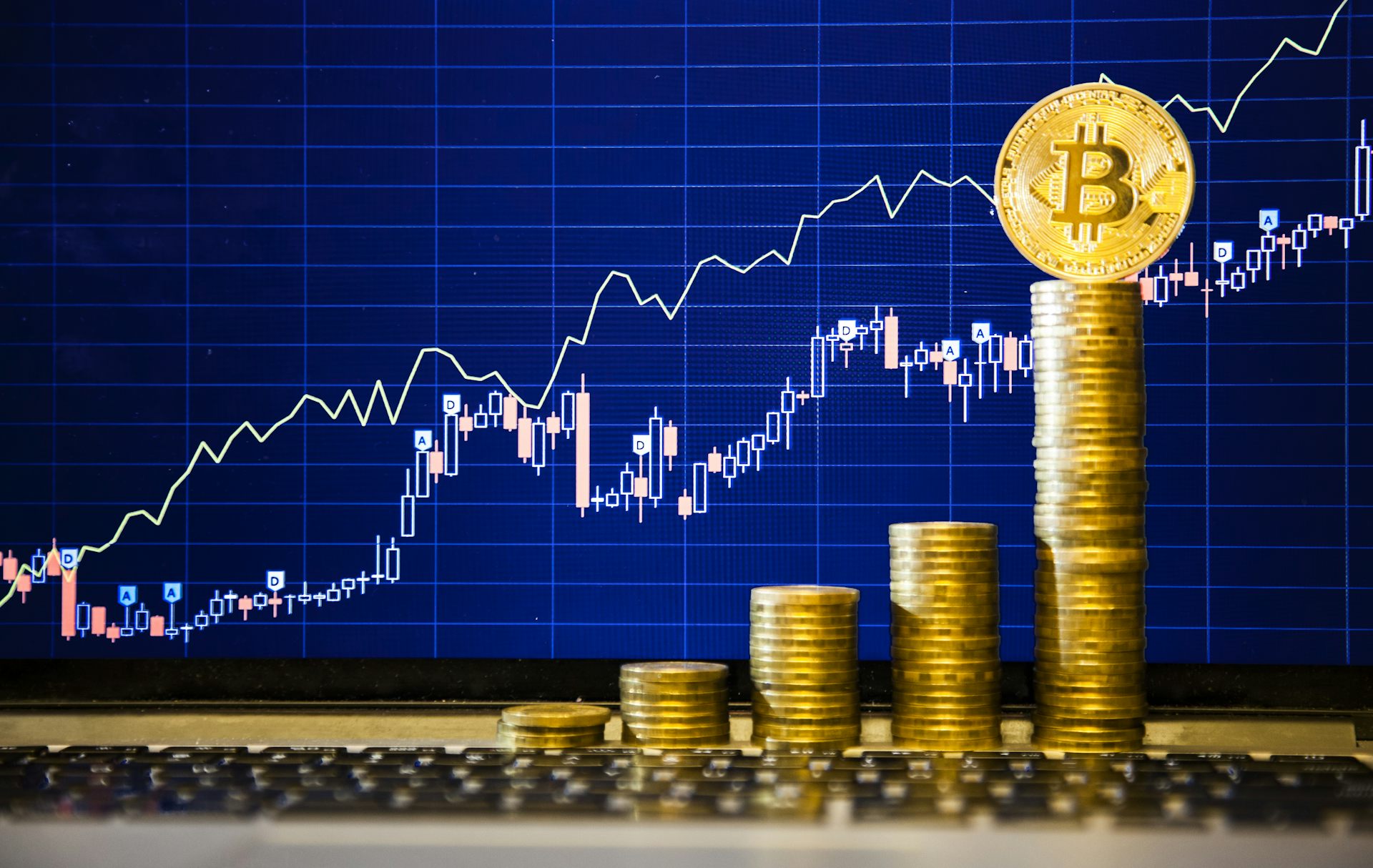 Bitcoin price latest: why is it currently going up? - Times Money Mentor