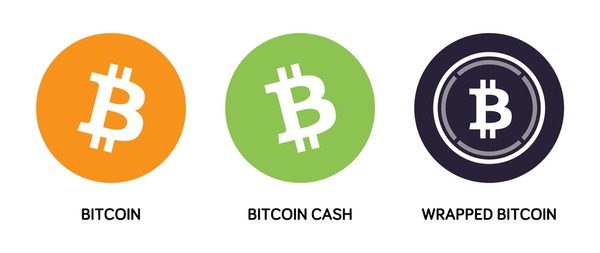 What Is Bitcoin Cash (BCH), and How Does It Work?