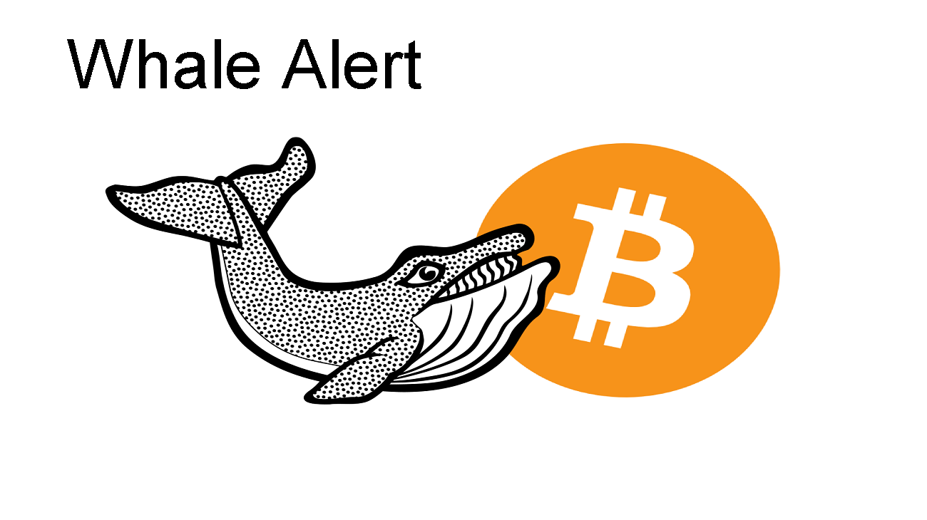 Whale Alert: How Crypto Whales Impact the Market
