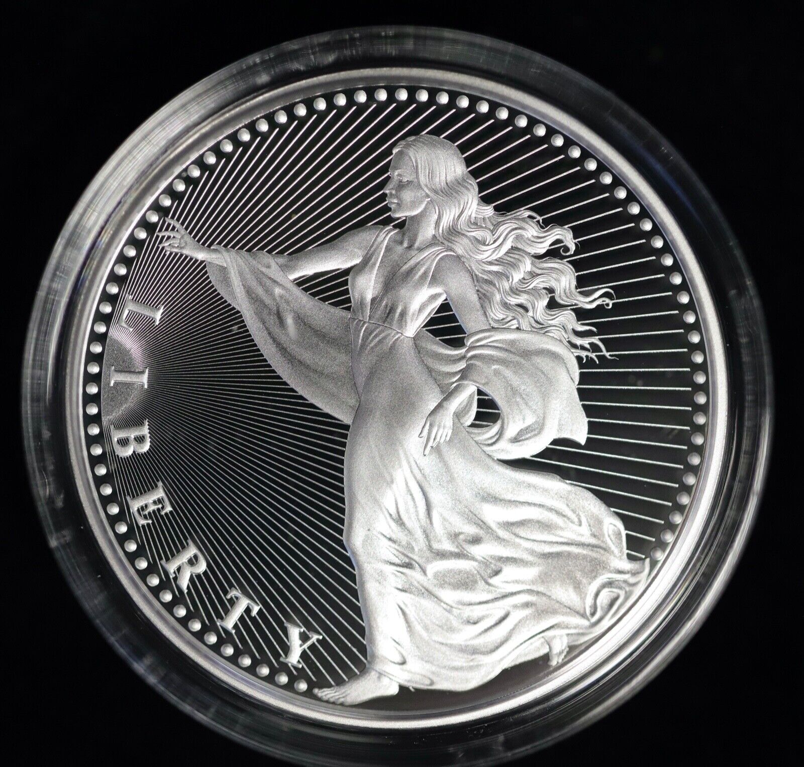 1 oz American Silver Eagle – The Truman Company