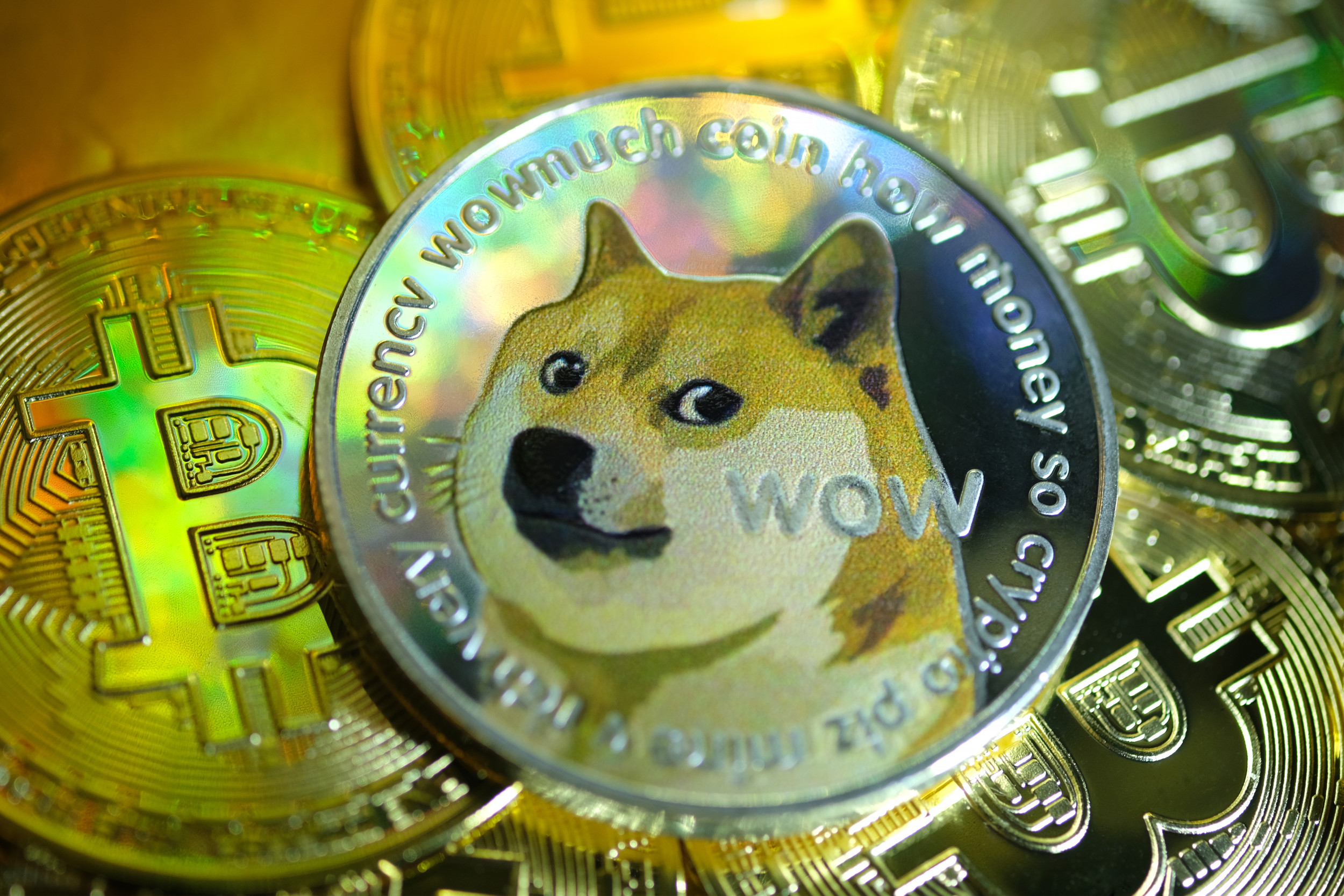 What Companies are Accepting Dogecoin as Payment?