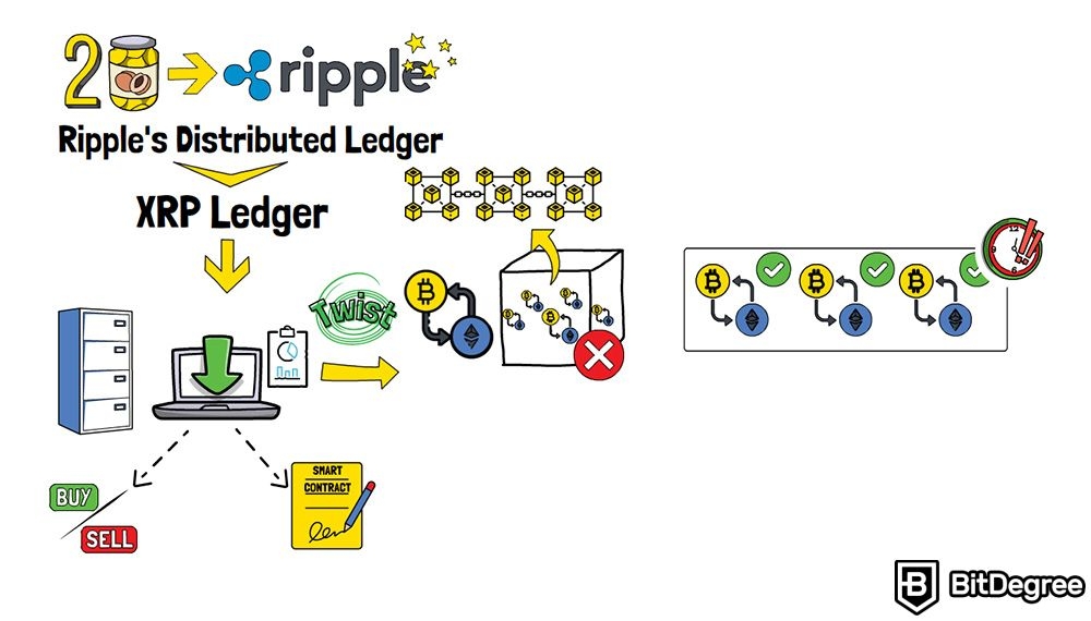 What Is Ripple (XRP)? | Ledger