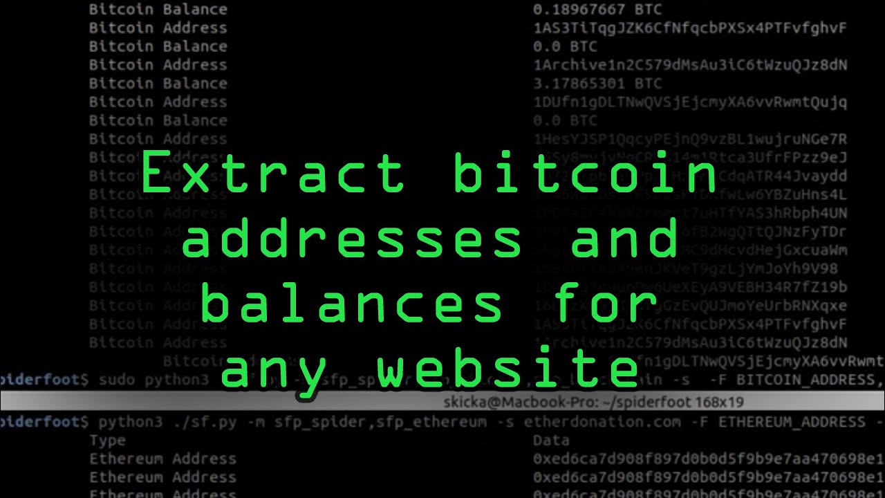 How Long Would it Take to Brute Force a Bitcoin Wallet?