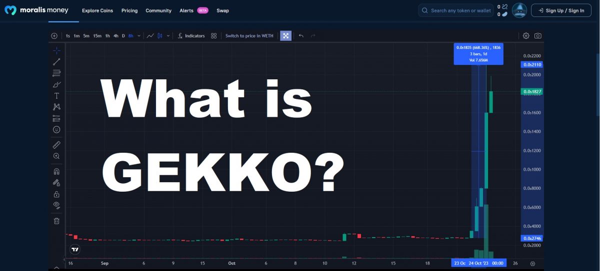 What is GEKKO? Overview of the Gekko HQ project