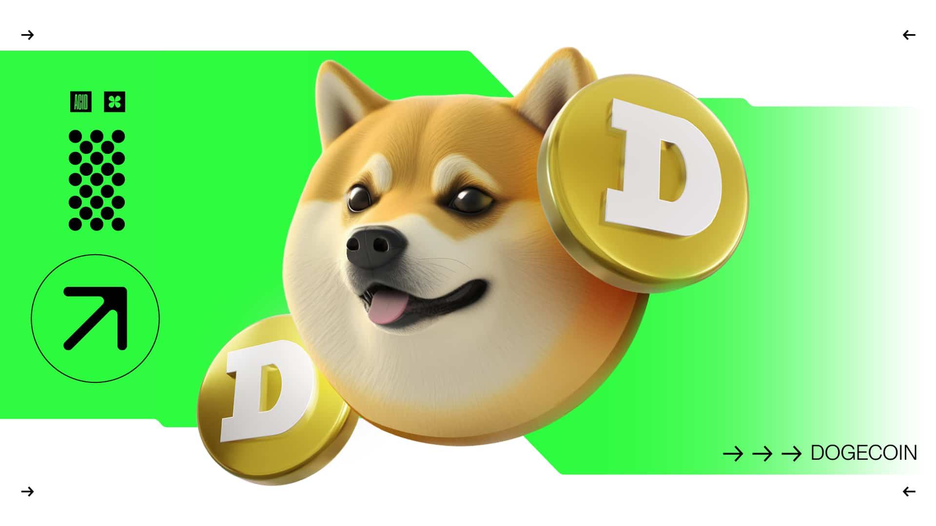 Dogecoin (DOGE) – Mining, Pools, Wallets, Price – BitcoinWiki