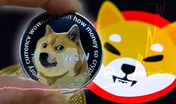 Dogecoin Vs SHIBA INU Comparison - DOGE/SHIB Cryptocurrency Comparison Charts - 1 day