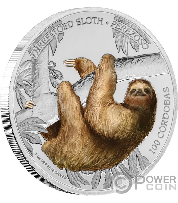 Sloth price - Sloth to USD price chart & market cap | CoinBrain
