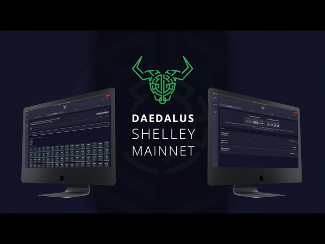 Daedalus Wallet Review - Review