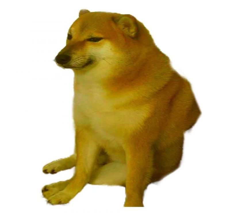 Buff doge meme template if anyone wants to make a meme with it - template post - Imgur