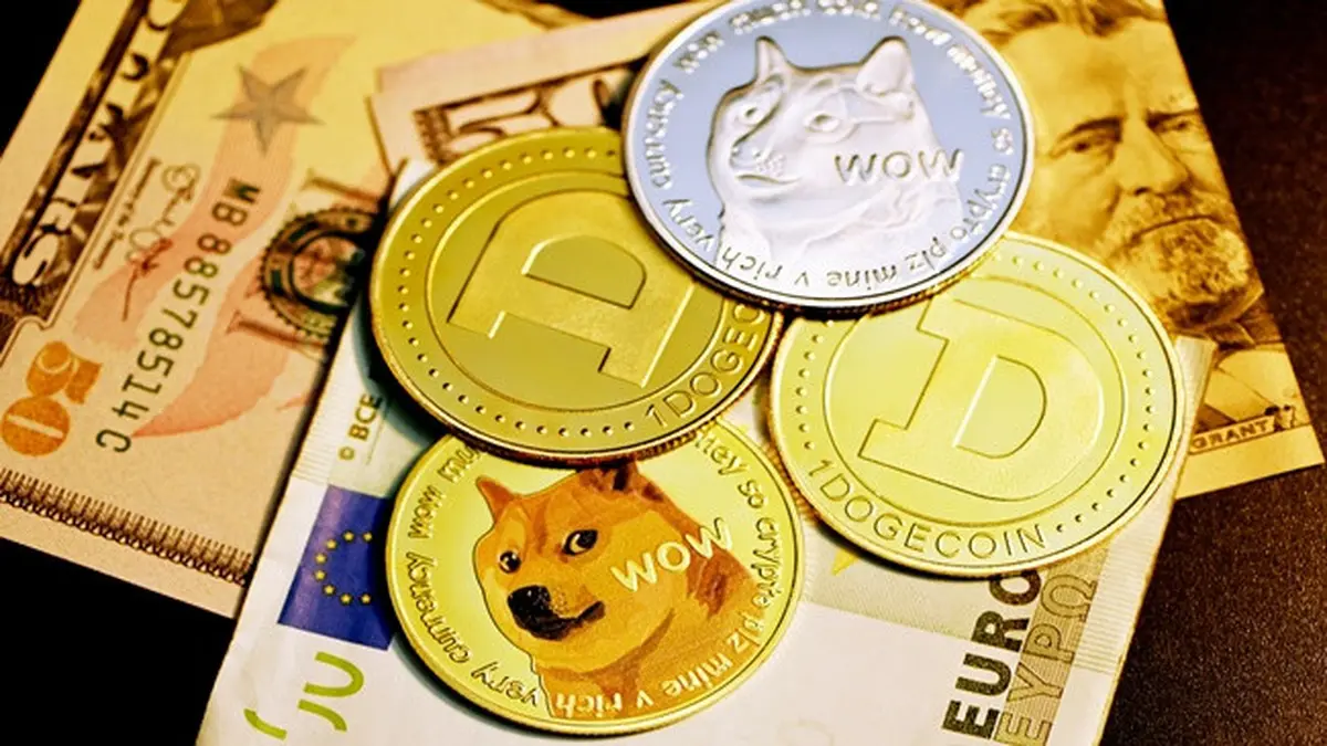 Dogecoin USD price | Digrin