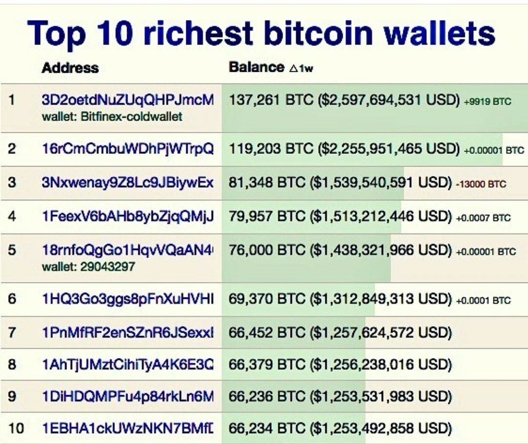 The Biggest BTC Whales: Who Owns the Most Bitcoin?