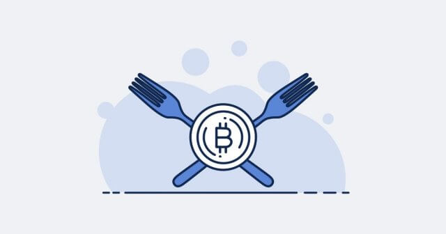 Bitcoin Forks Explained - Crypto Pro