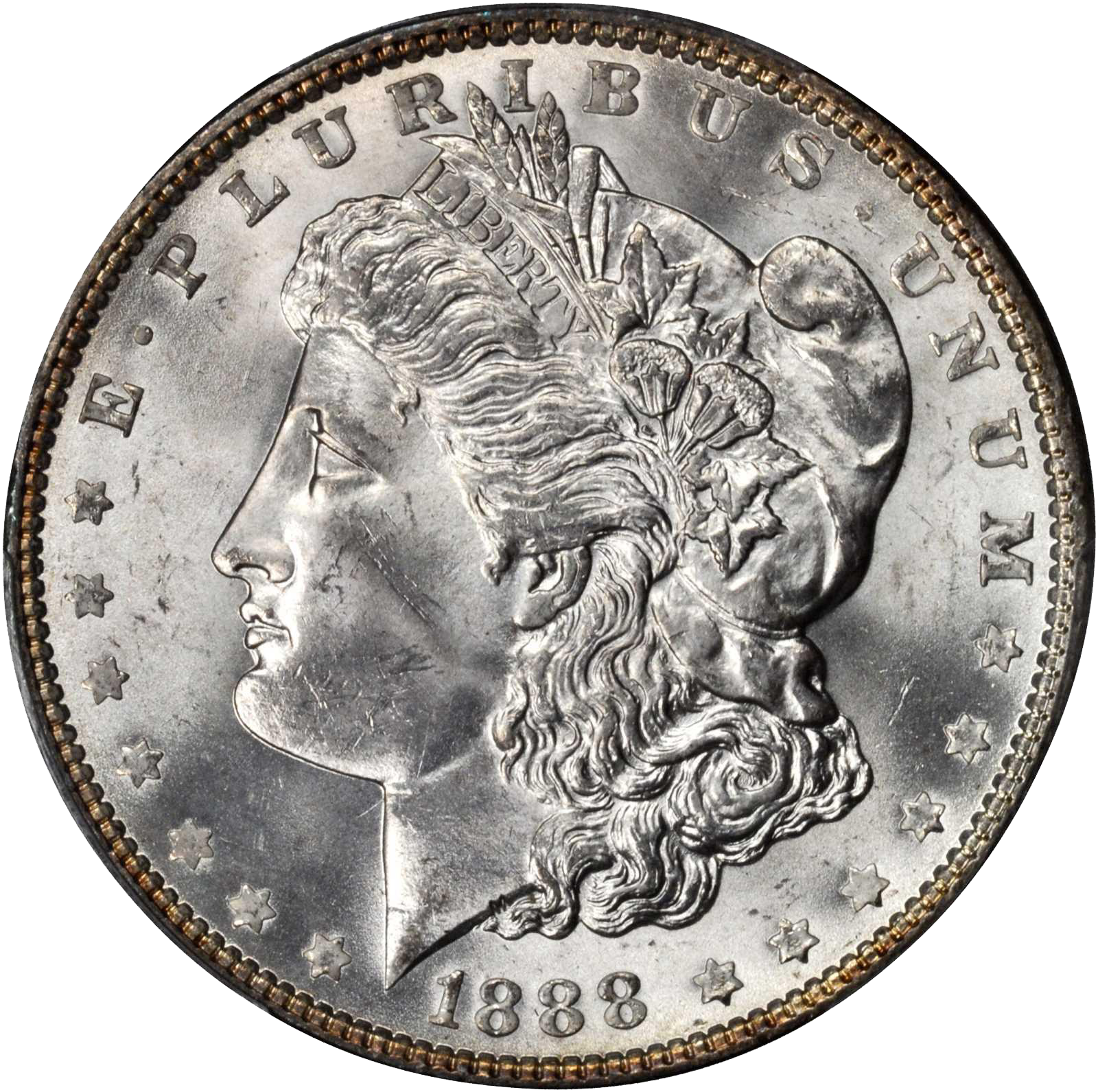 Morgan Silver Dollar Value | Discover Their Worth