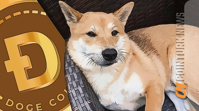 Calculate DOGE to NGN live today (DOGE-NGN) | CoinMarketCap