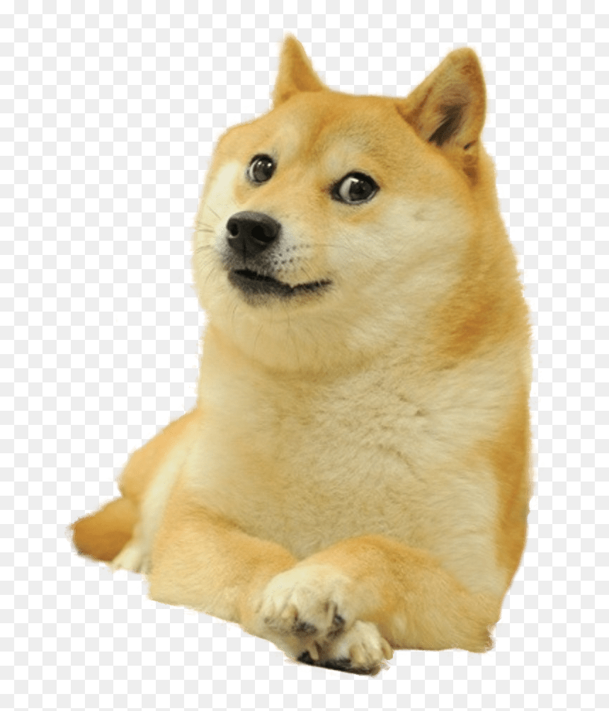 Top 20 Doge Meme Templates Of All Time - HumorNama