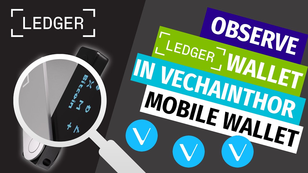 VeChain Wallet | Ledger