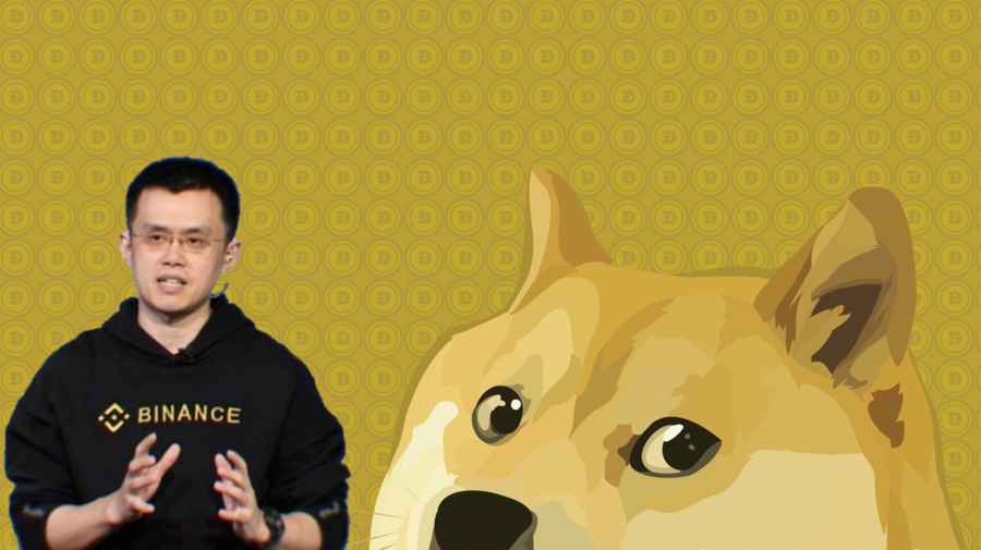 How to Short Dogecoin on Binance? (Step by Step) - Coinapult