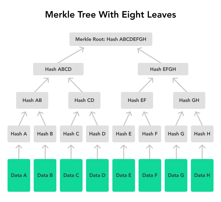 Merkle Tree in Blockchain: What is it and How does it work | Simplilearn