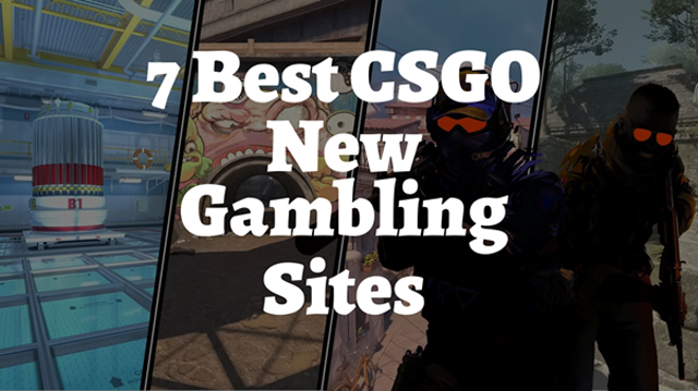 ▷ Top 13 Best CSGO Crash Sites | Play CS:GO Crash