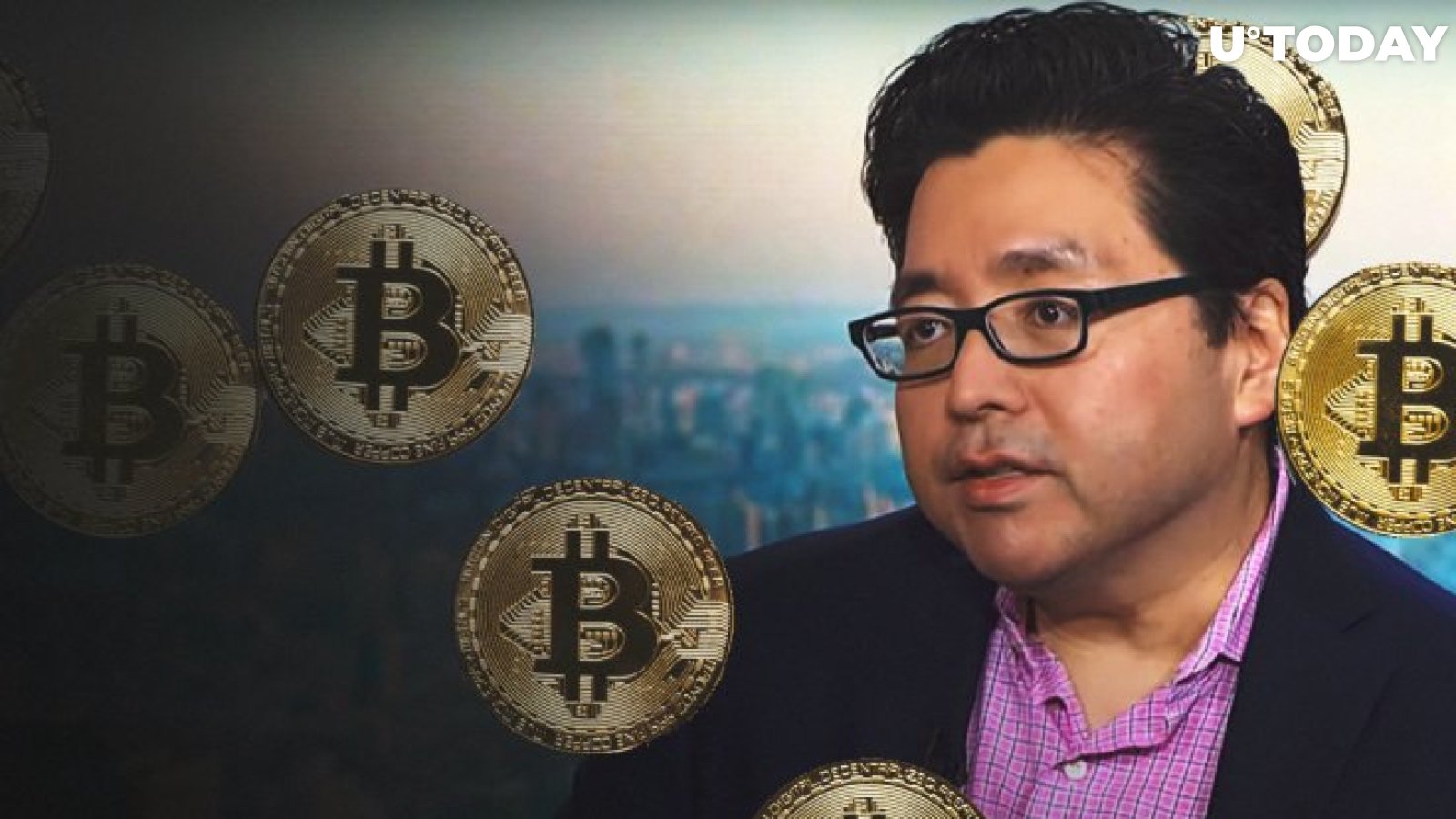 Tom Lee: BTC Could Reach $, in | Live Bitcoin News