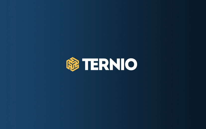 Ternio (TERN) Latest News - BitScreener