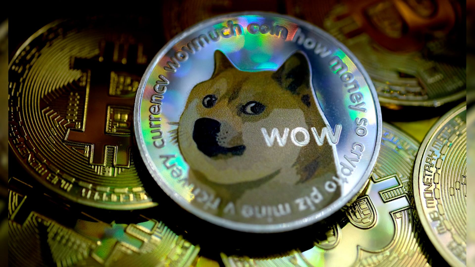 Is Dogecoin Dead? Here Are The Facts | CoinCodex