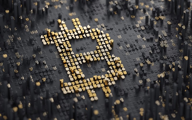 Top Richest Bitcoin Gold Addresses and Bitcoin Gold distribution