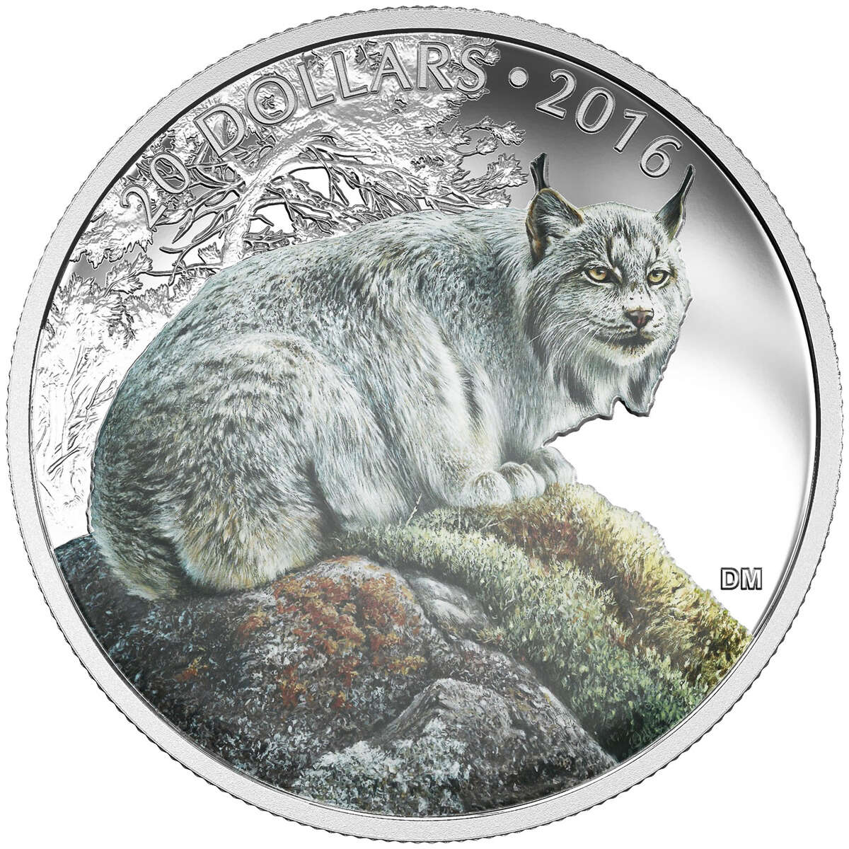 Canada 1 Ounce Multifaceted Animal Head Grizzly Bear Silver Coin