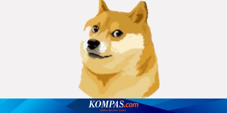 Top Richest Dogecoin Addresses