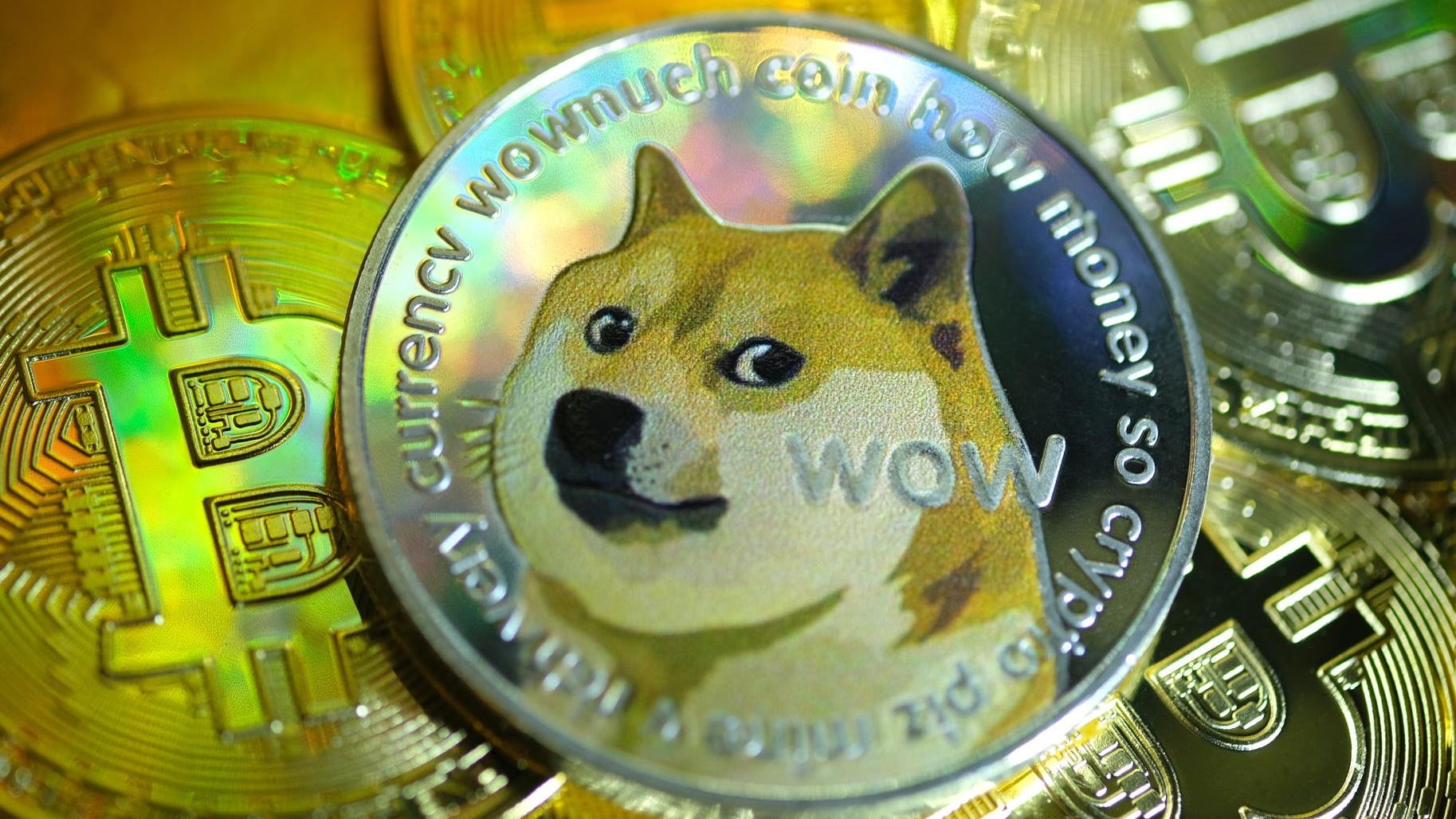 🥛 A billionaire calls out crypto and Dogecoin turns 10 👀 - Milk Road