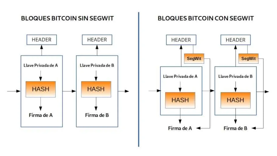 Segregated Witness (Segwit) Meaning | Ledger