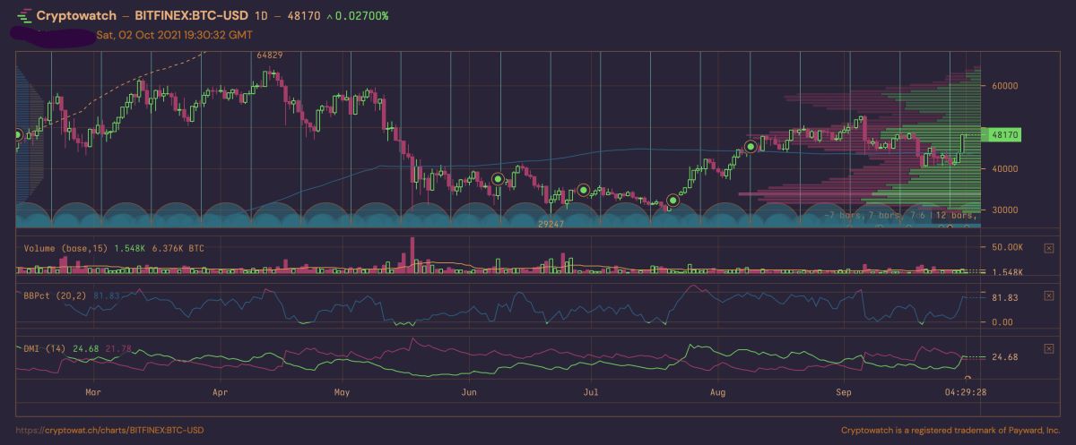 Multiple TradingView Charts in 1 Screen | CryptoWatch