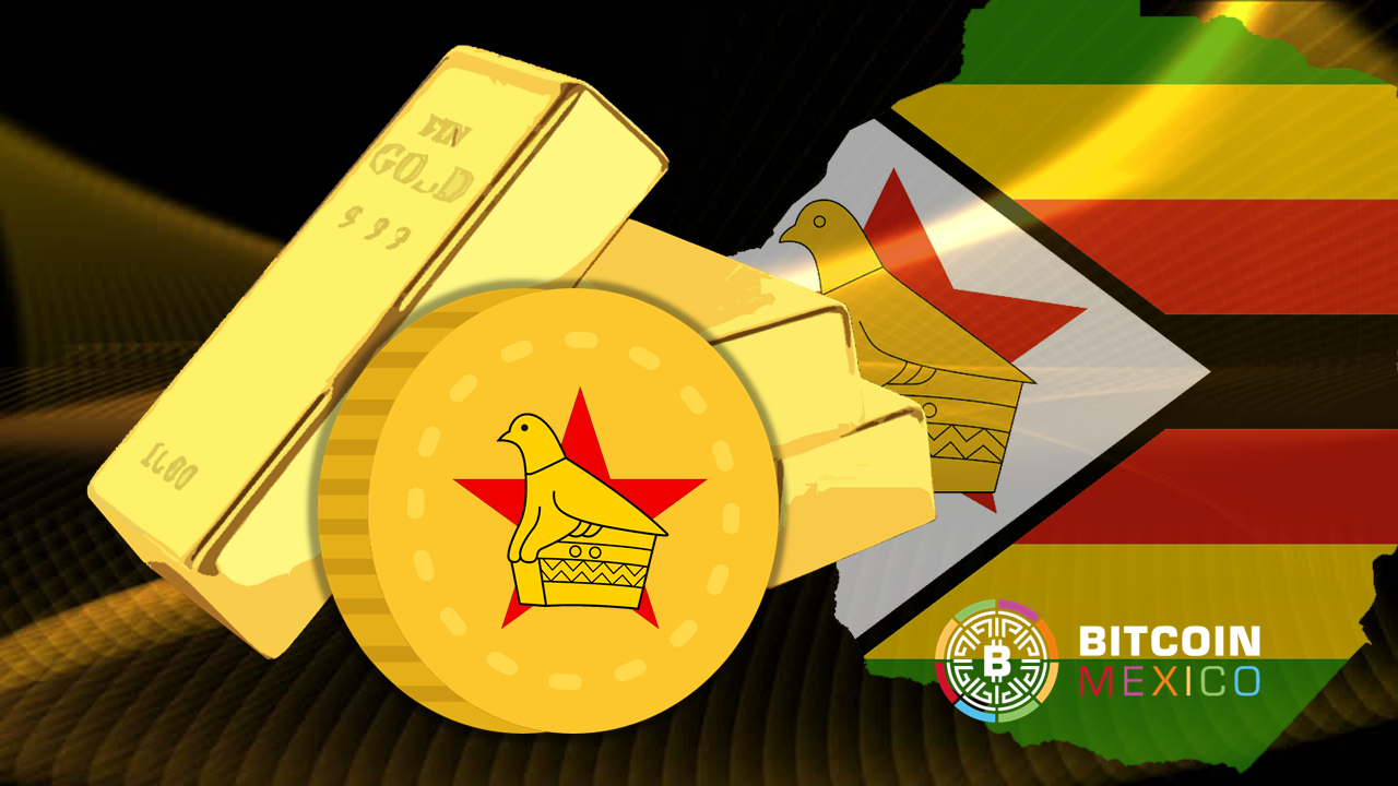 Zimbabwe sees rise in crypto-trading, and crypto-scams | African Arguments