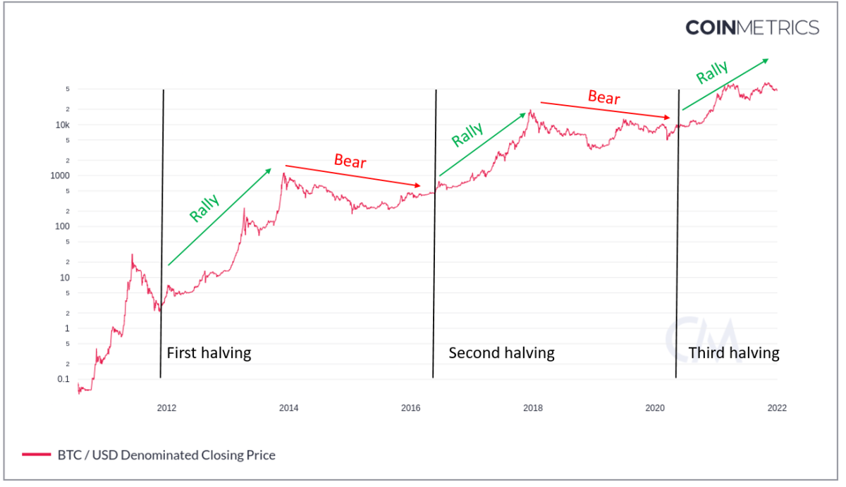 crypto bear market worst in history: Report | Mint