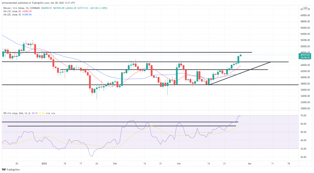 Bitcoin to Euro or convert BTC to EUR