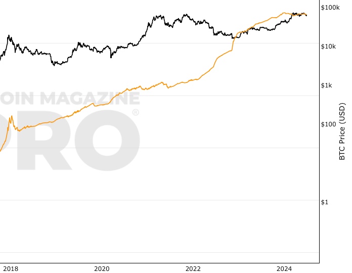 Top Richest Bitcoin Addresses and Bitcoin distribution