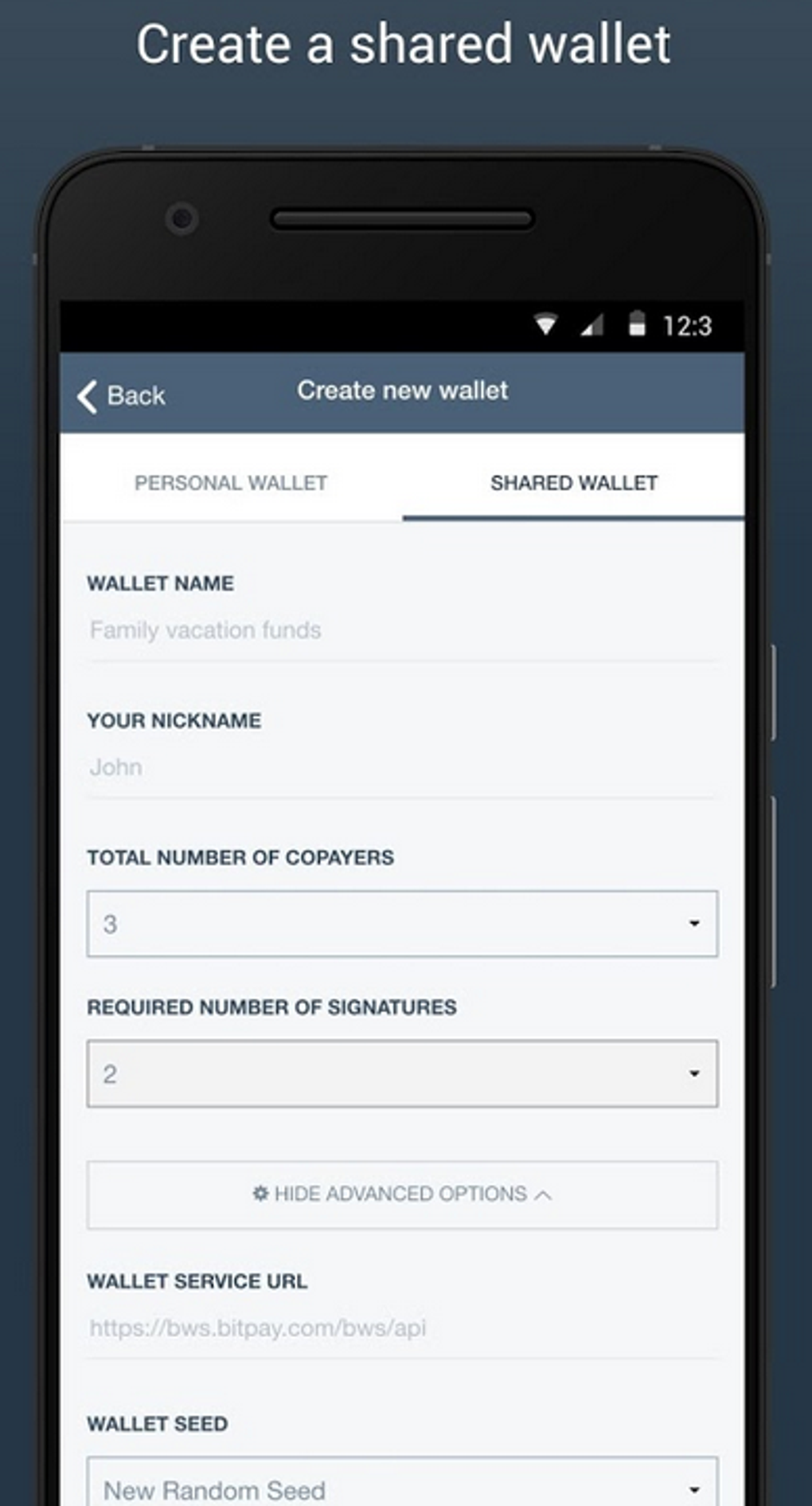 GitHub - bitpay/copay: Copay wallet is now Bitpay Wallet.