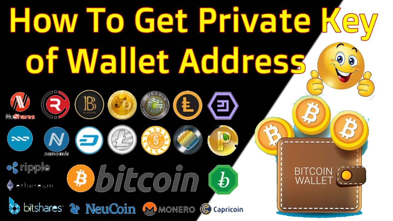 How to extract private keys from other wallets : Coinomi Support