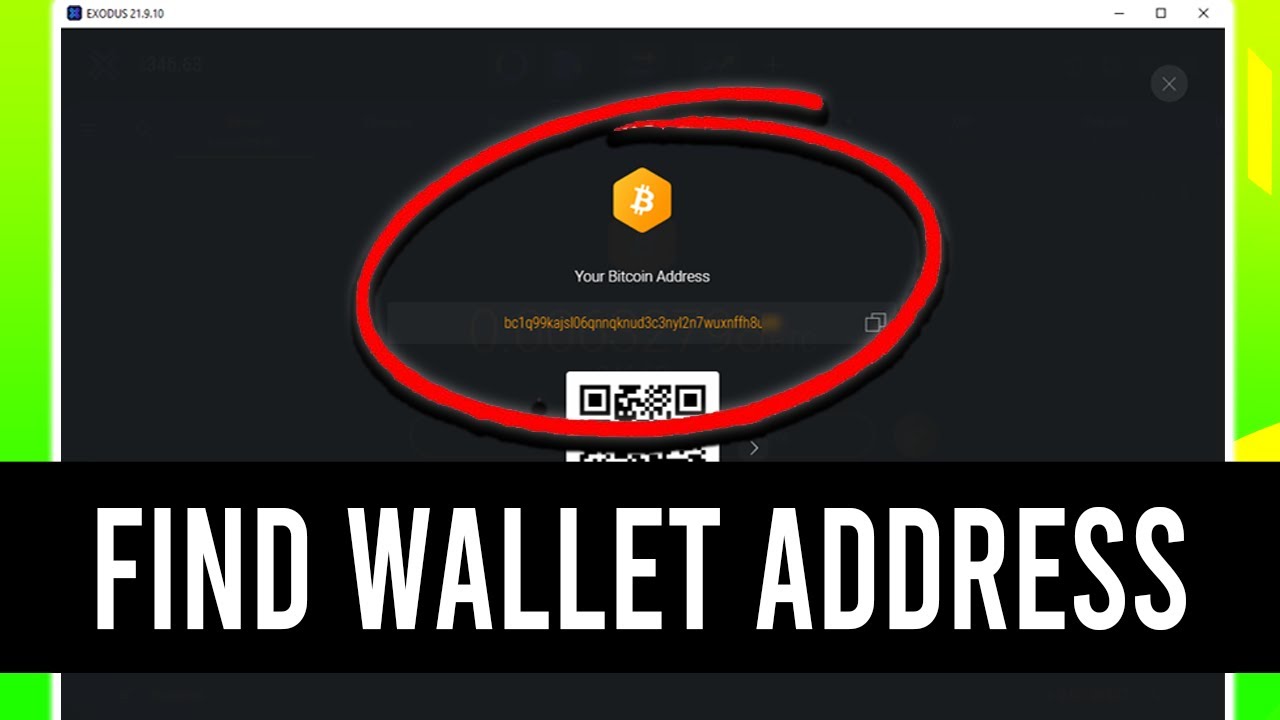 How to Withdraw Crypto from Exodus Wallet - Zengo