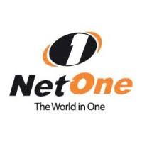 NetOne USSD codes