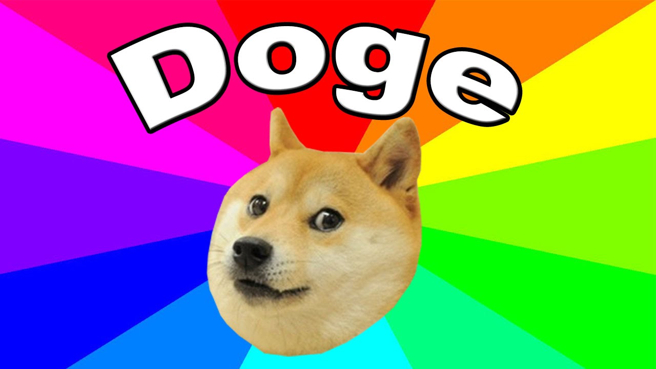 Dog that inspired ‘Doge’ meme has leukemia and liver disease, owner says | Dogs | The Guardian