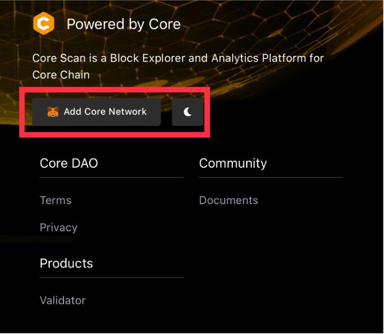 How to Add Core DAO Chain to Metamask Wallet? | CoinCarp