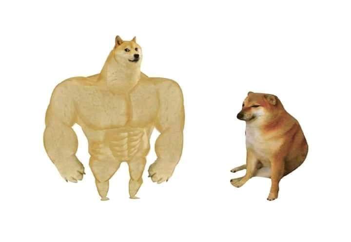 Doge before and after Meme Generator - Imgflip