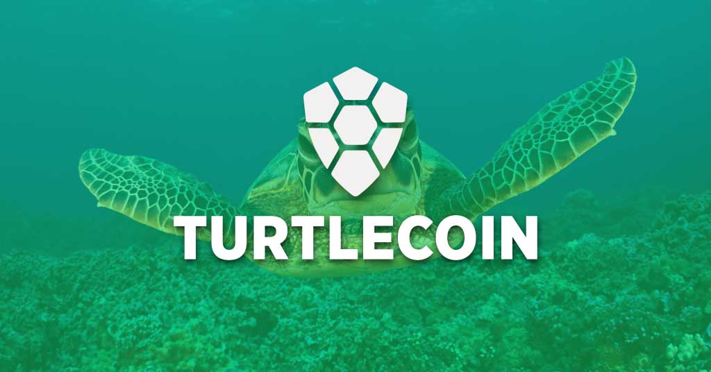 TurtleCoin Price Today - TRTL Coin Price Chart & Crypto Market Cap
