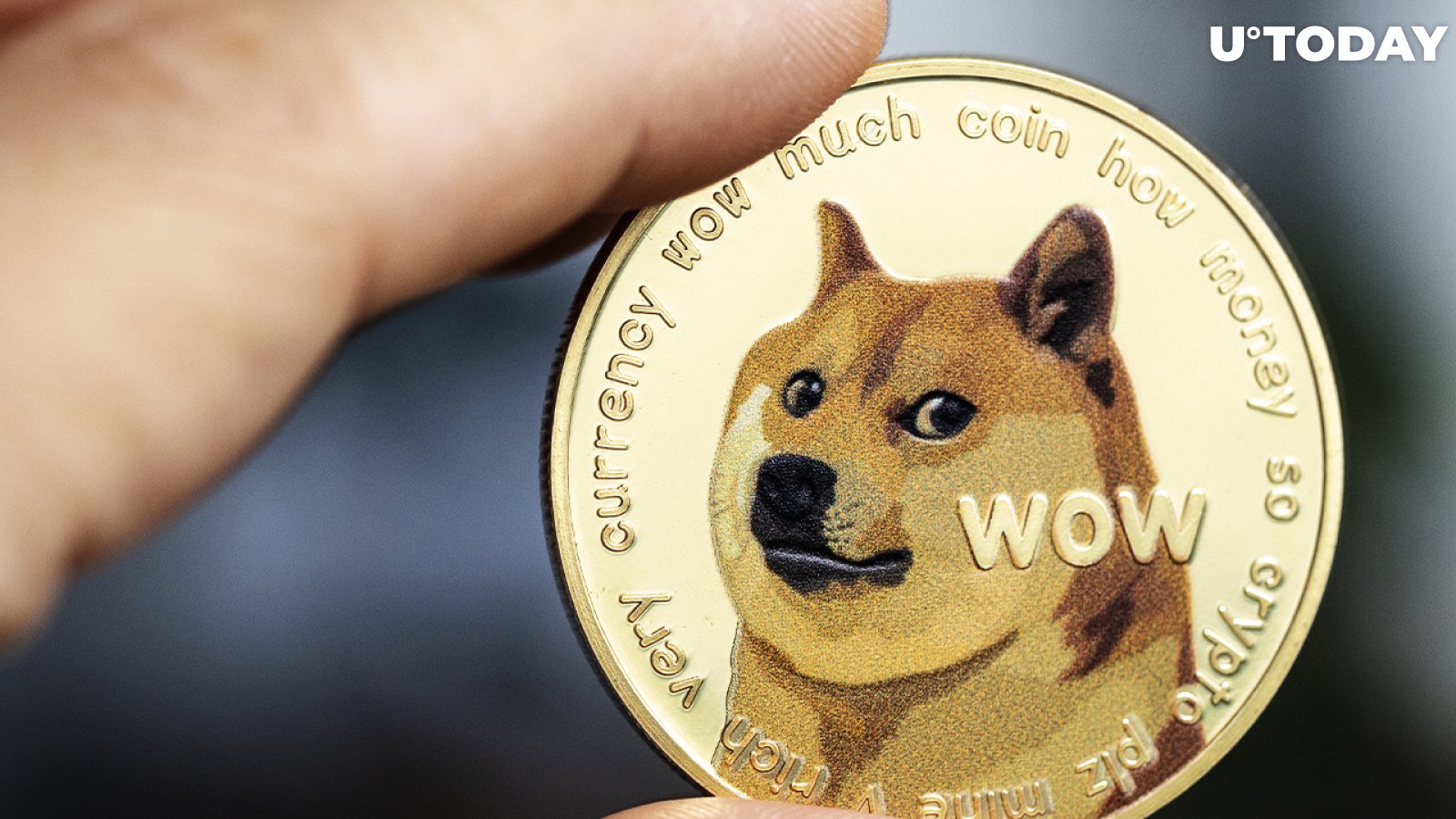 DOGE Price up % as 64 Million Dogecoin Moved to Coinbase